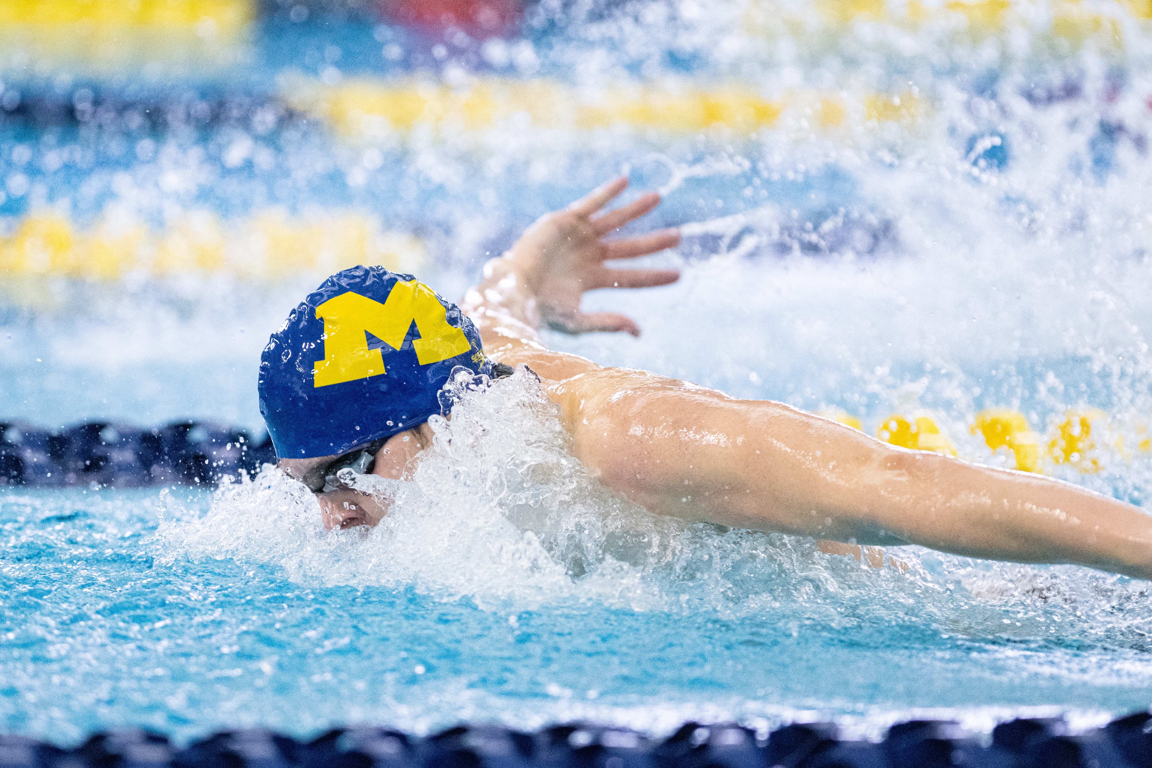 NCAA Division 1 Swimmer